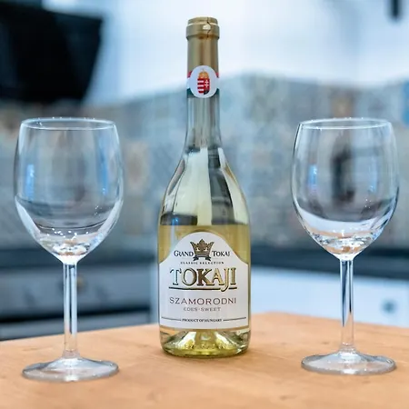 Vinitus Centro Daire Budapeşte